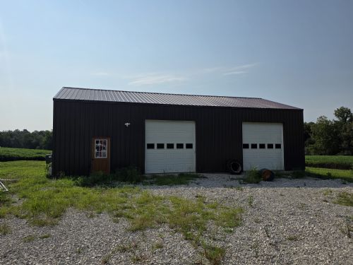Lewis Auction